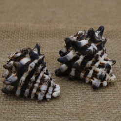 Cơ Sở Sản Xuất Mỹ Nghệ Thanh Thêm