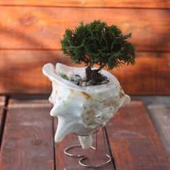 Cơ Sở Sản Xuất Mỹ Nghệ Thanh Thêm