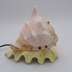 Cơ Sở Sản Xuất Mỹ Nghệ Thanh Thêm