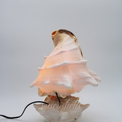 Cơ Sở Sản Xuất Mỹ Nghệ Thanh Thêm