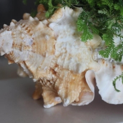 Cơ Sở Sản Xuất Mỹ Nghệ Thanh Thêm