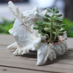 Cơ Sở Sản Xuất Mỹ Nghệ Thanh Thêm