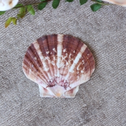 Cơ Sở Sản Xuất Mỹ Nghệ Thanh Thêm