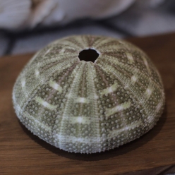 Cơ Sở Sản Xuất Mỹ Nghệ Thanh Thêm