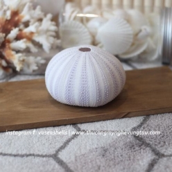 Cơ Sở Sản Xuất Mỹ Nghệ Thanh Thêm