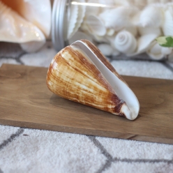 Cơ Sở Sản Xuất Mỹ Nghệ Thanh Thêm