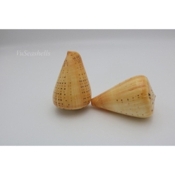 Cơ Sở Sản Xuất Mỹ Nghệ Thanh Thêm