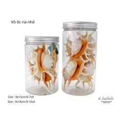 Cơ Sở Sản Xuất Mỹ Nghệ Thanh Thêm