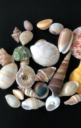 Cơ Sở Sản Xuất Mỹ Nghệ Thanh Thêm