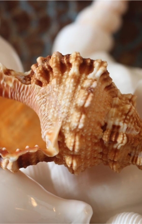 Cơ Sở Sản Xuất Mỹ Nghệ Thanh Thêm