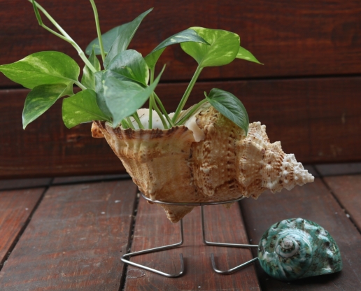 Cơ Sở Sản Xuất Mỹ Nghệ Thanh Thêm