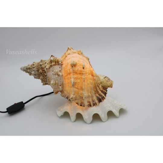 Cơ Sở Sản Xuất Mỹ Nghệ Thanh Thêm