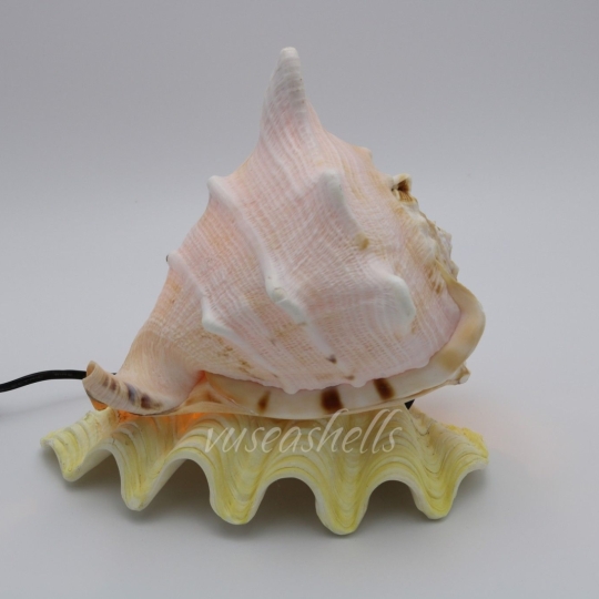 Cơ Sở Sản Xuất Mỹ Nghệ Thanh Thêm