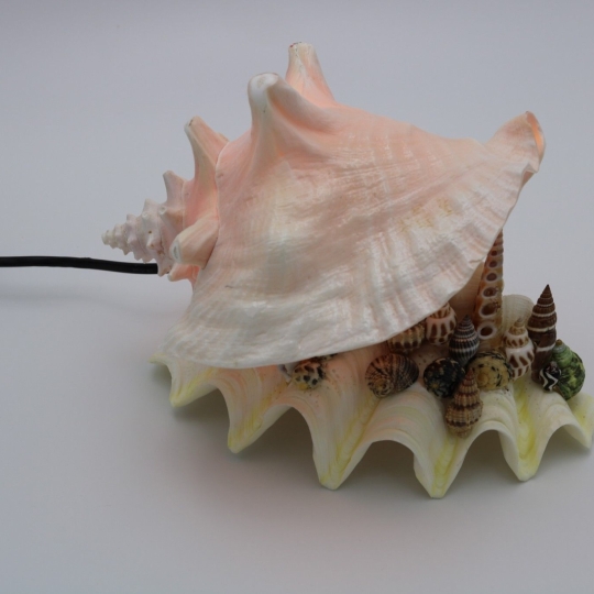 Cơ Sở Sản Xuất Mỹ Nghệ Thanh Thêm