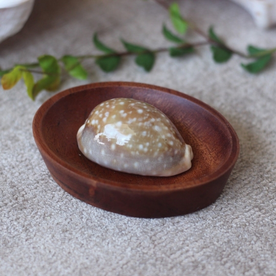 Cơ Sở Sản Xuất Mỹ Nghệ Thanh Thêm