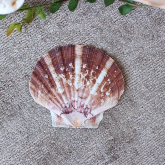 Cơ Sở Sản Xuất Mỹ Nghệ Thanh Thêm