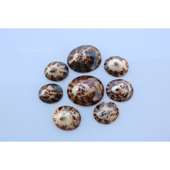 Cơ Sở Sản Xuất Mỹ Nghệ Thanh Thêm